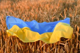 الحرب الروسية الأوكرانية أثرت في سوق الحبوب العالمي
