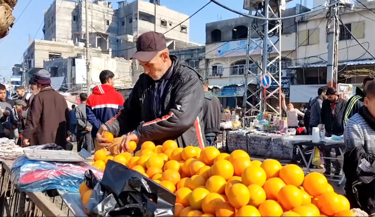 لم يذق أهالي شمال غزة تحديداً أي نوع من الفاكهة منذ أكثر من 70 يوما (الجزيرة مباشر)