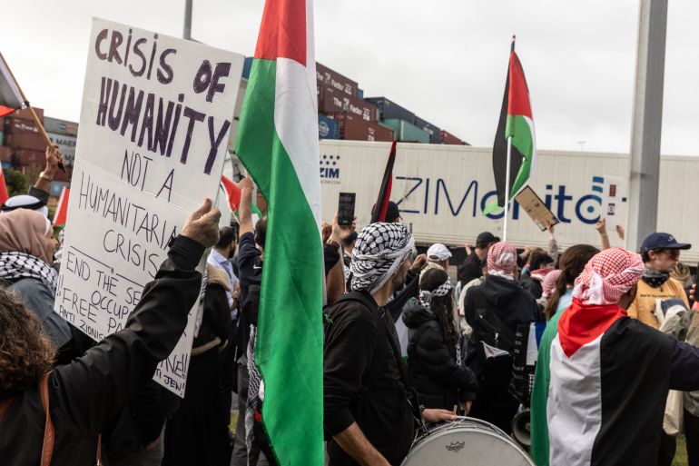 مظاهرة لمناصري فلسطين أمام شاحنة لشركة زيم الإسرائيلية في مدينة ملبورن في أستراليا خلال نوفمبر الماضي